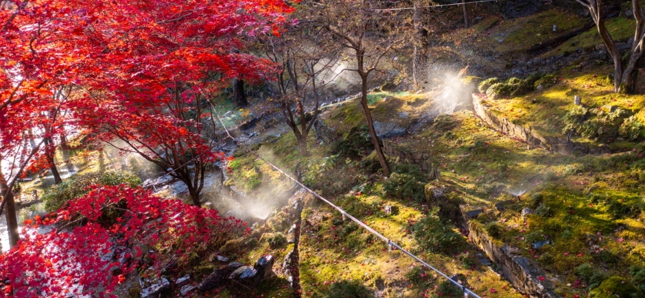 화담숲-사진