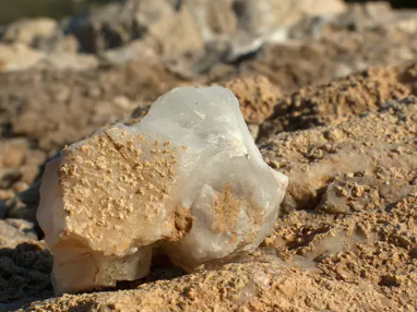 석회석(limestone) - 해저의 판에서 탄생한 일상을 지탱하는 돌.