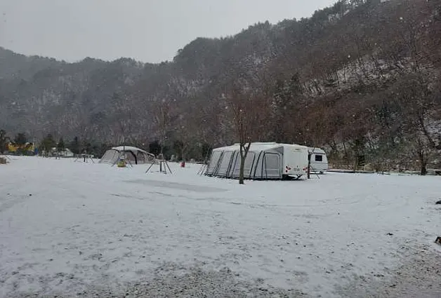 파인트리캠핑장