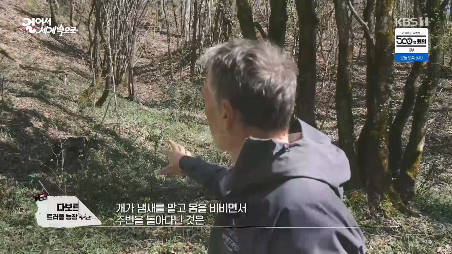 걸어서 세계속으로.E791.230513p.H264-F1RST.mp4_20230524_211541.786.jpg
