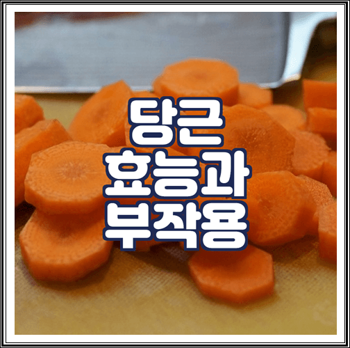  당근 효능과 부작용 정리