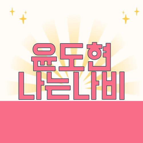 윤도현 나는나비