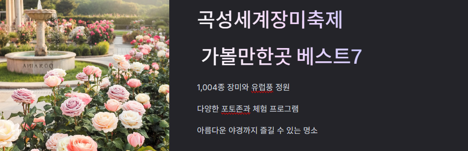 세계장미축제 가볼만한곳 베스트7