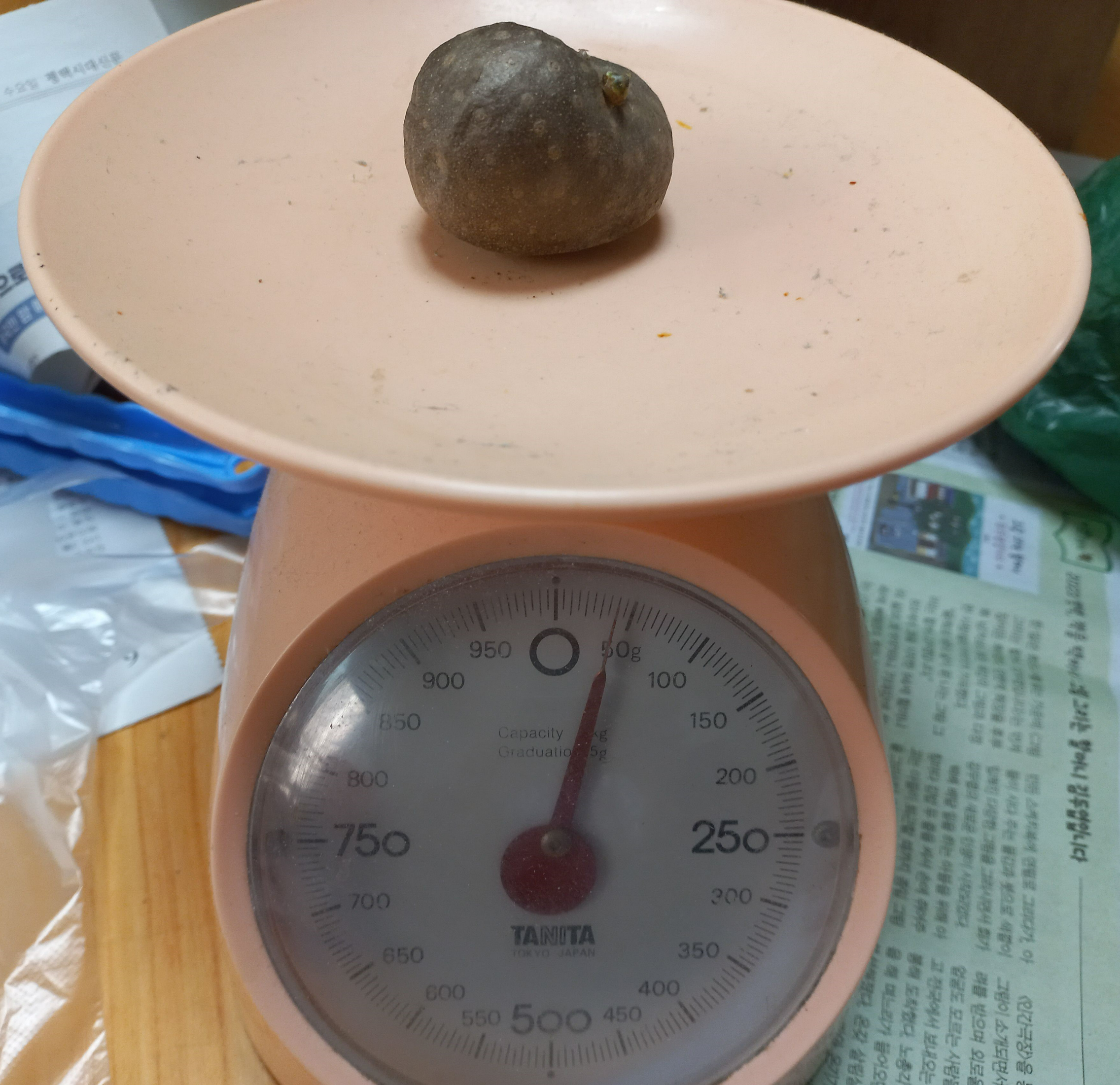 40g정도의 작은 하늘마 종자