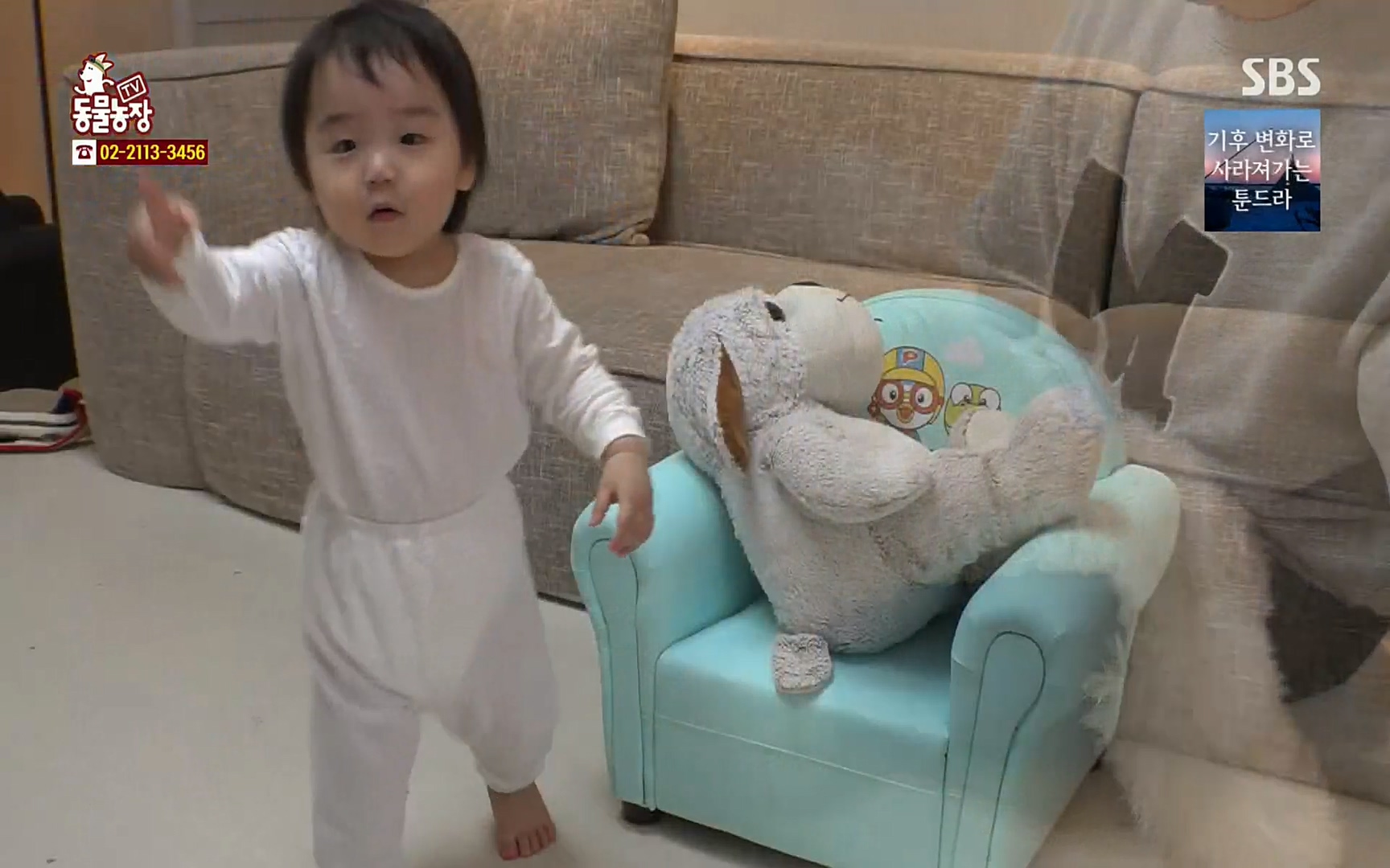 TV 동물농장.E1061.220320p.H264-F1RST.mp4_20220320_183623.121.jpg
