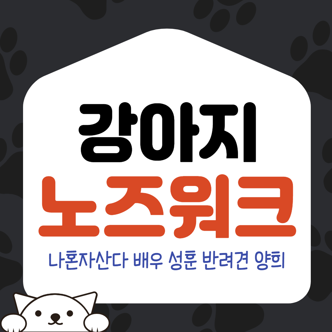  강아지 노즈워크 나혼자 산다 배우 성훈 반려견 양희