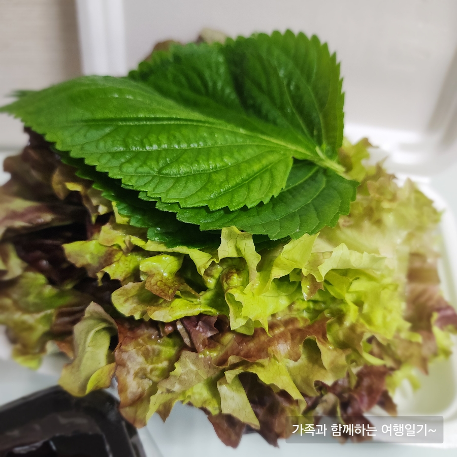 정할머니왕족발보쌈 6