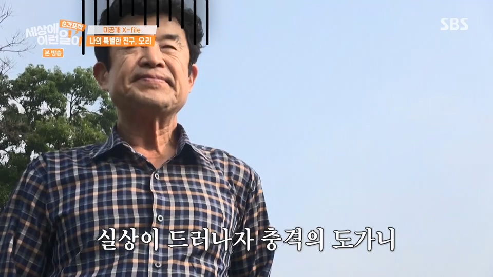 순간포착 세상에 이런일이.E1234.230624p.H264-F1RST.mp4_20230626_211200.166.jpg