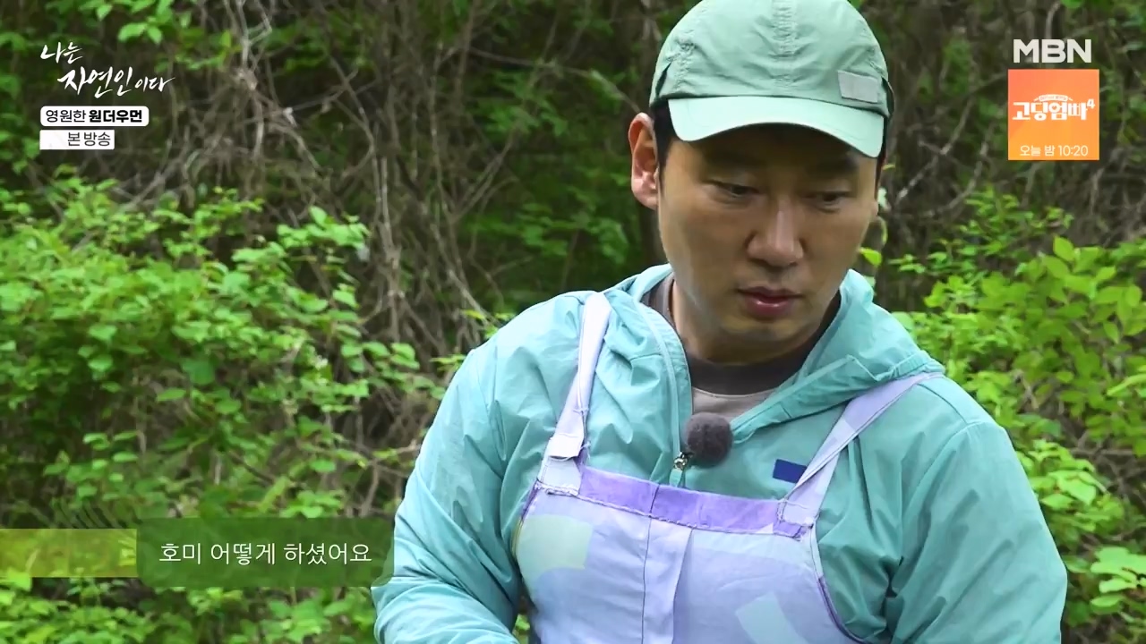 나는 자연인이다.E606.240523p-NEXT.mp4_20240523_195553.039.jpg