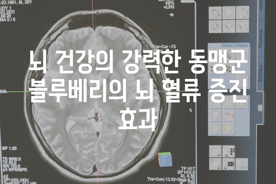 뇌 건강의 강력한 동맹군 블루베리의 뇌 혈류 증진 효과