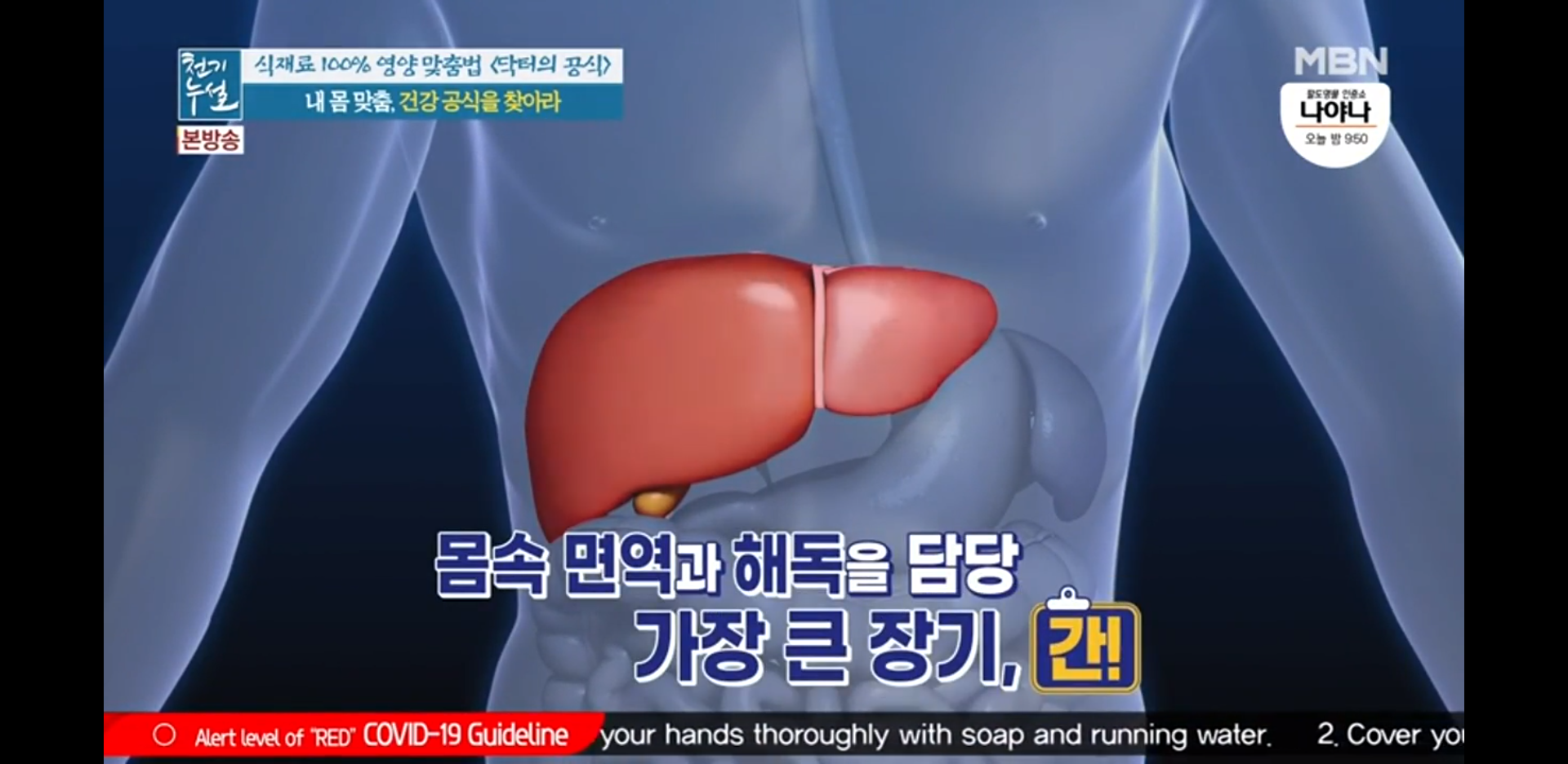  지방간 예방 및 간기능 강화에 최적인 가을배추를 이용한 동부미와 배추고 효능 및 주의점(천기누설 닥터의공식)