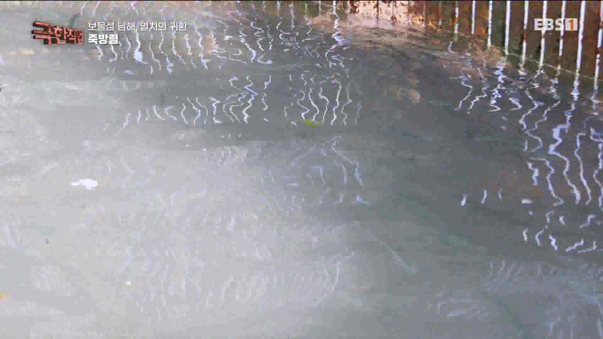 극한 직업 - 보물섬 남해, 멸치의 귀환 1080p.mp4_20230612_202041.340.jpg