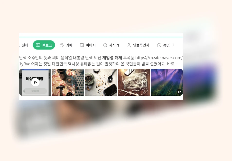 계엄령 해제_1_subsection