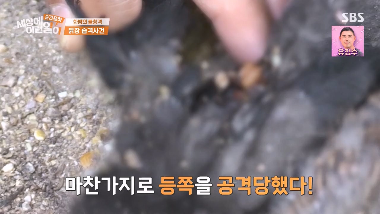 순간포착 세상에 이런일이.E1231.230604p-NEXT.mp4_20230609_202233.698.jpg
