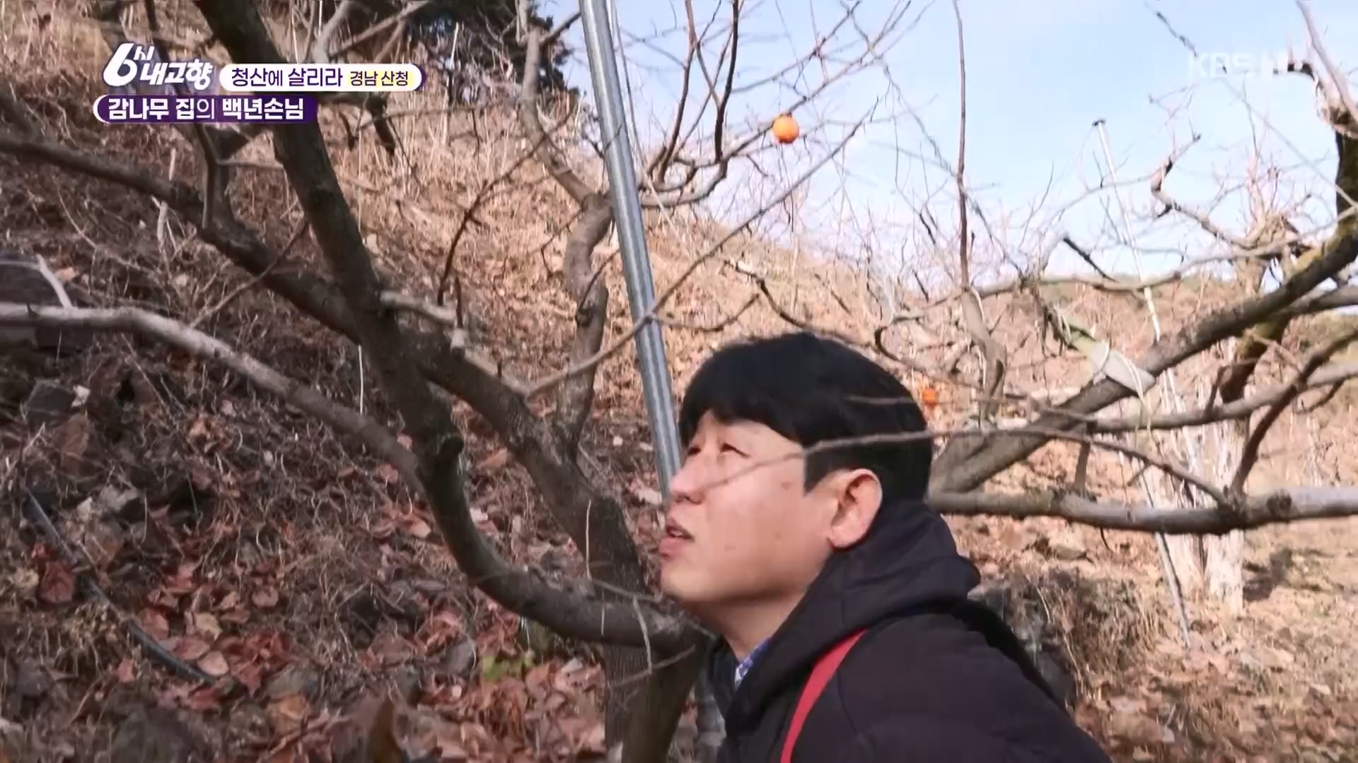 6시 내고향.E7929.231207p.H264-F1RST.mp4_20231208_200359.106.jpg