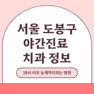 서울 도봉구 야간진료 치과 병원 (18시 이후 늦게까지하는 병원)