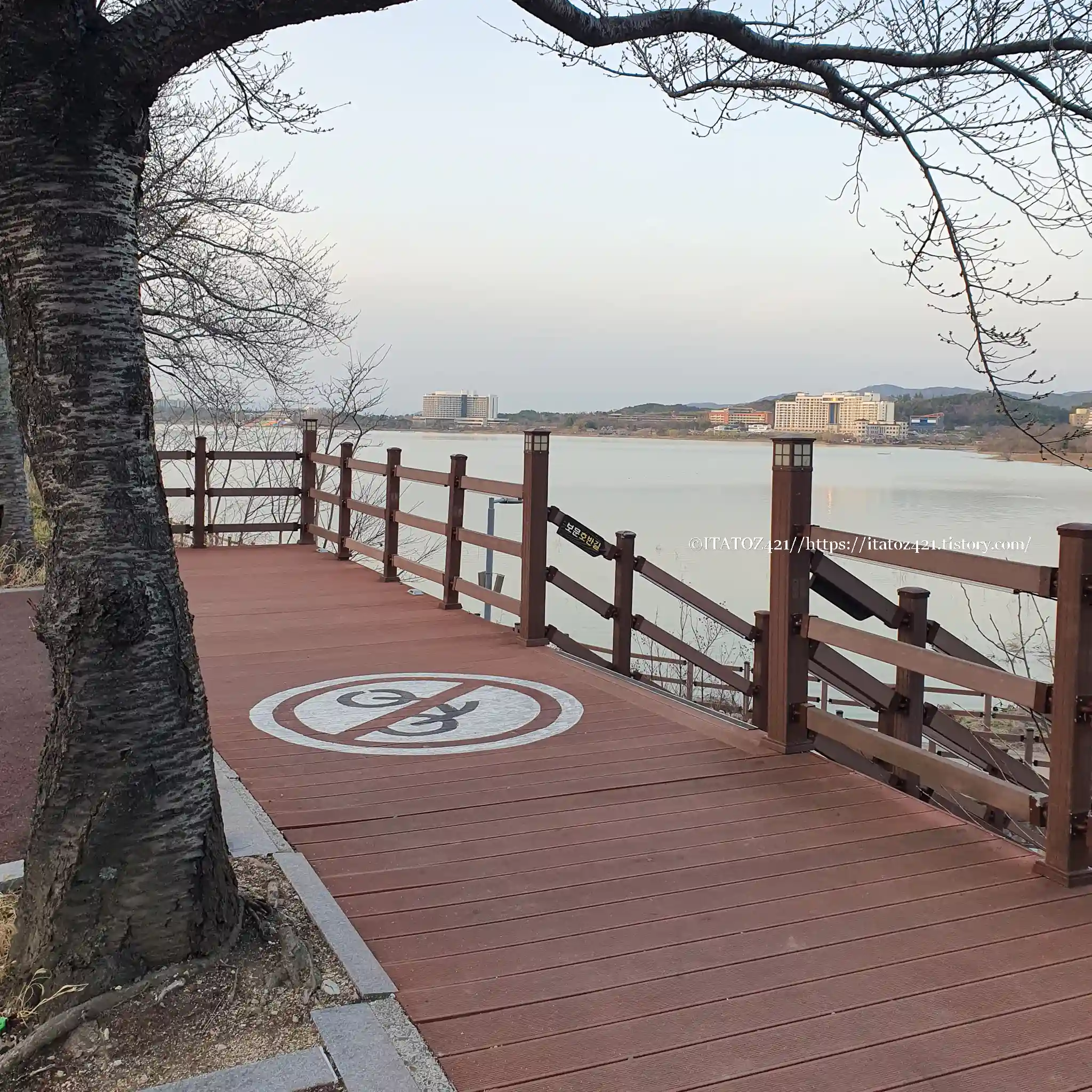 경주 국내 자유 여행 보문호