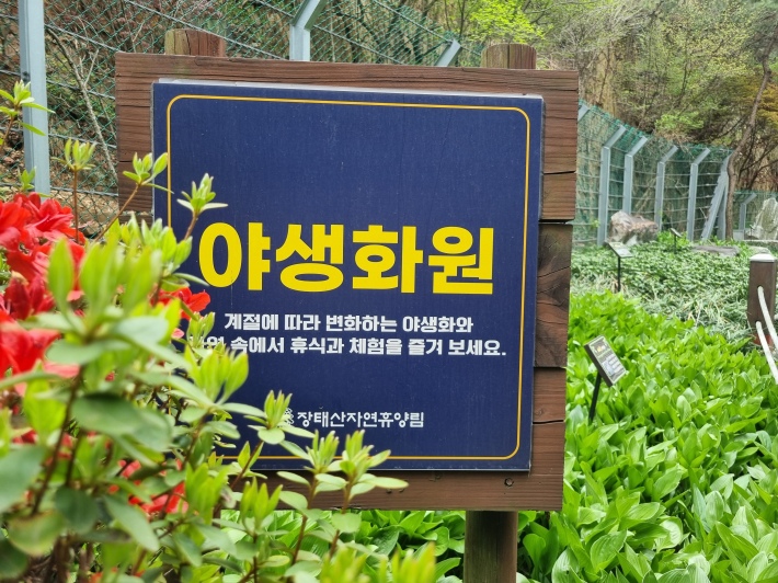야생화원