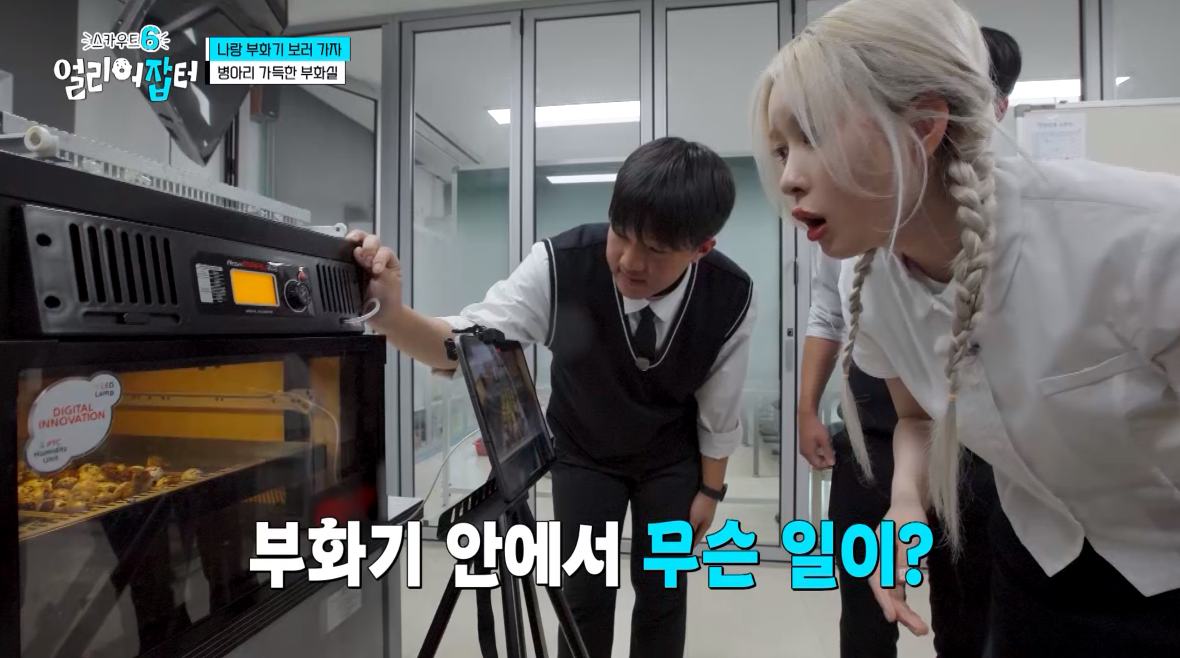 개신기한 병아리 꿈틀대면서 부화하는 모습...jpg | 인스티즈