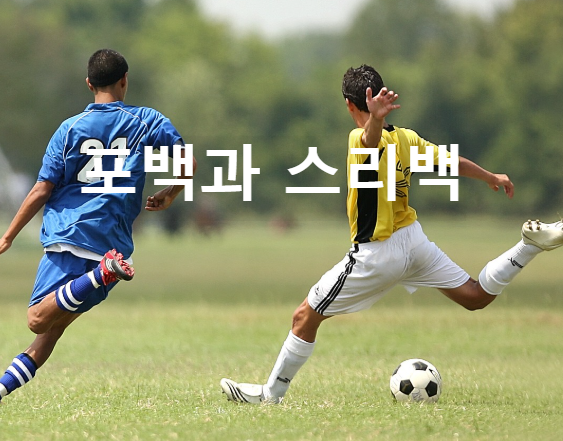 포백과 스리백