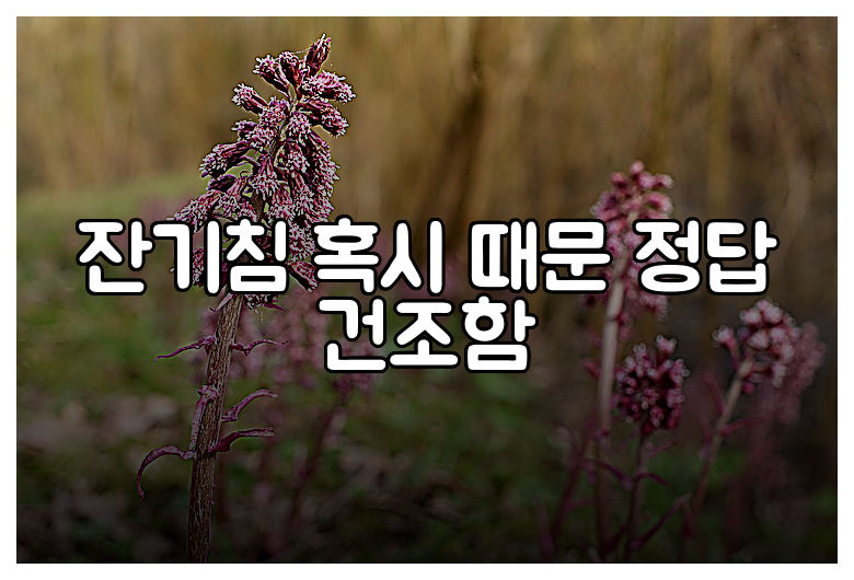 잔기침 혹시 때문 정답 건조함