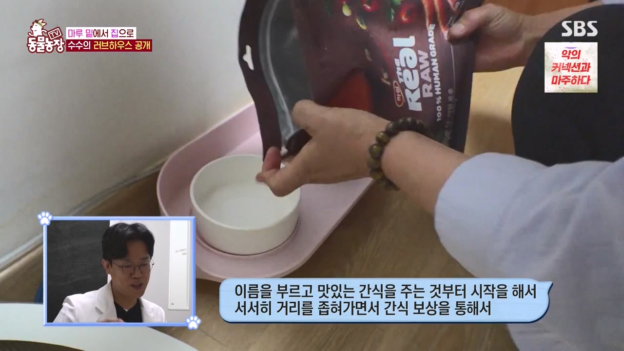 TV 동물농장.E1173.240527p-NEXT.mp4_20240526_155719.813.jpg