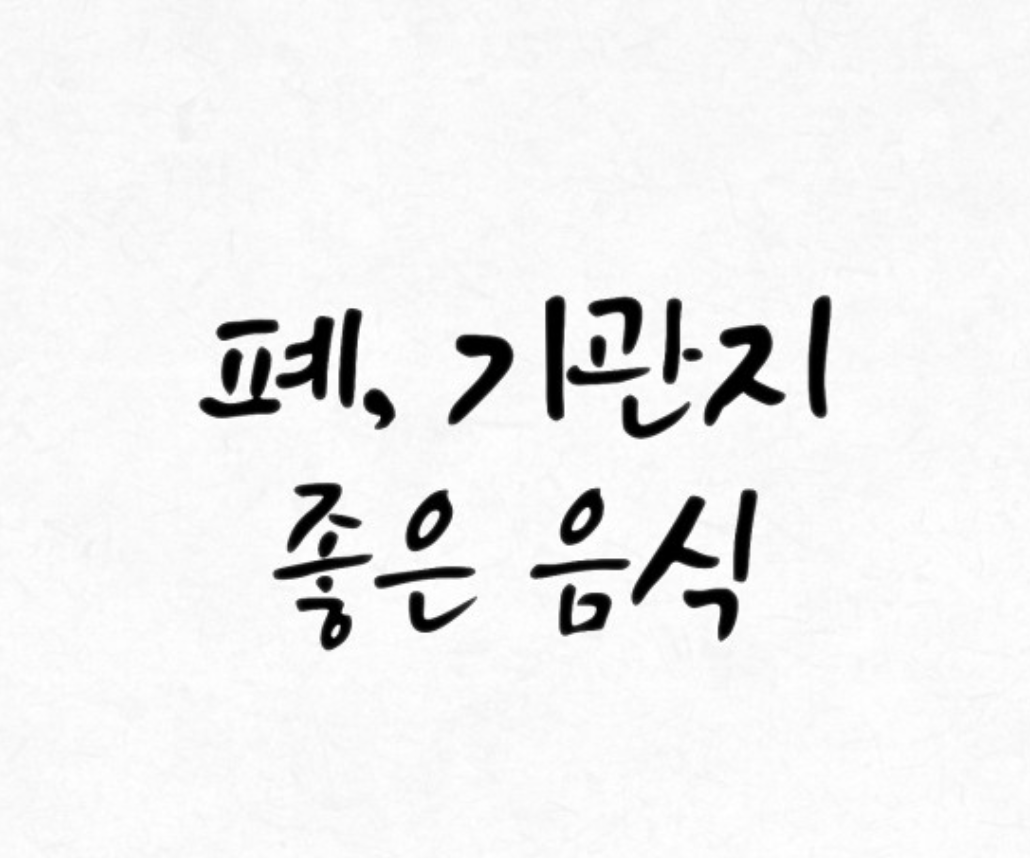  폐에 좋은 음식 10 가지, 기관지에 좋은 음식