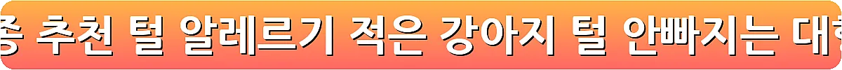 털 안 빠지는 강아지 견종 추천 털 알레르기 적은 강아지 털 안빠지는 대형견 소형견_10