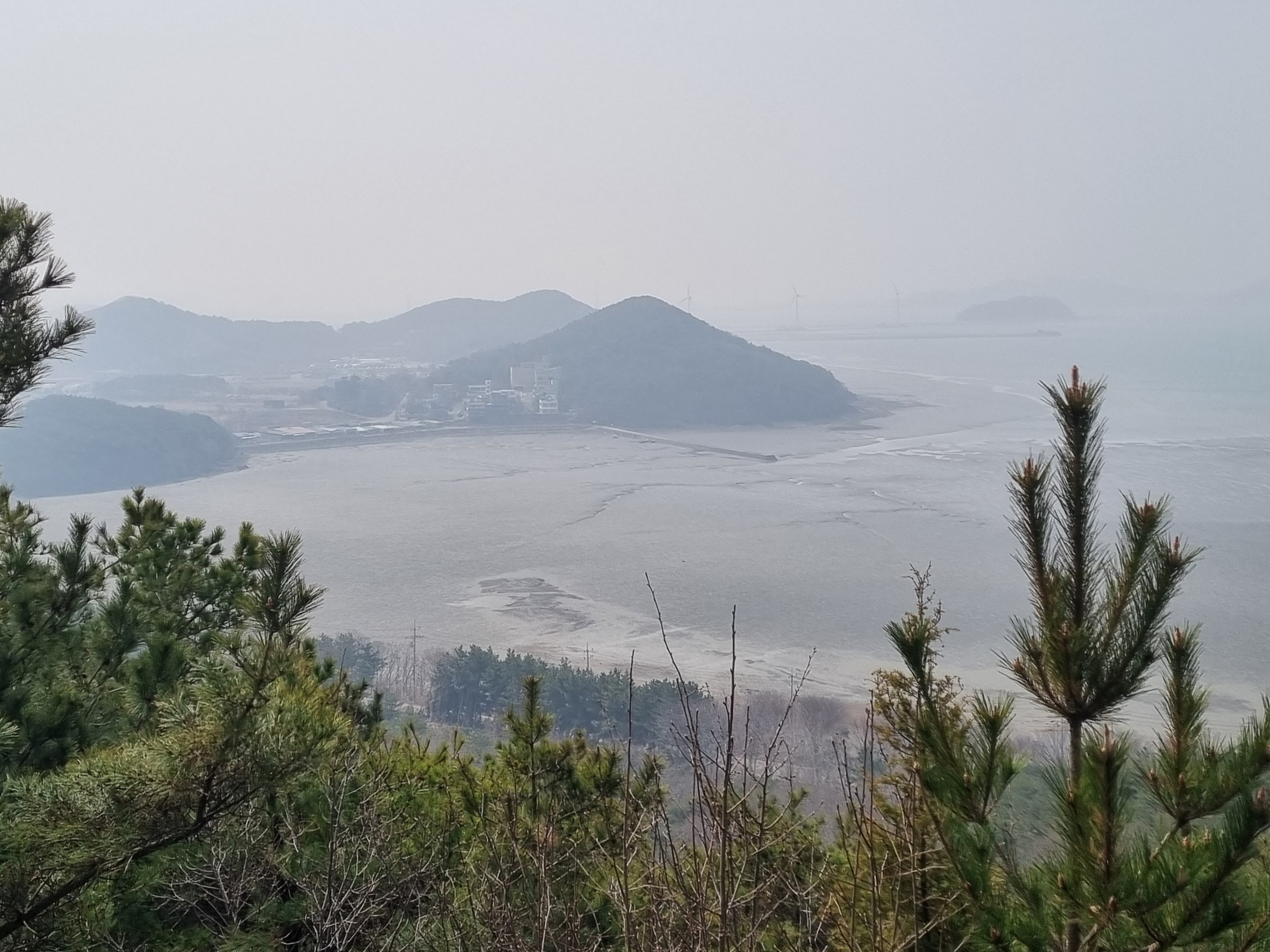 대남초등학교 이미지