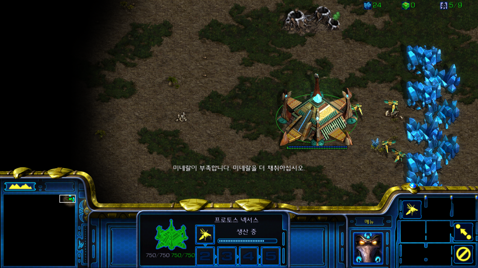  스타크래프트 왕초보강의[프로토스4편]질럿러쉬