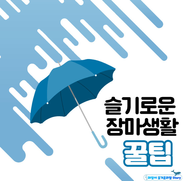  장마철 집안 세균과 냄새 잡는 법