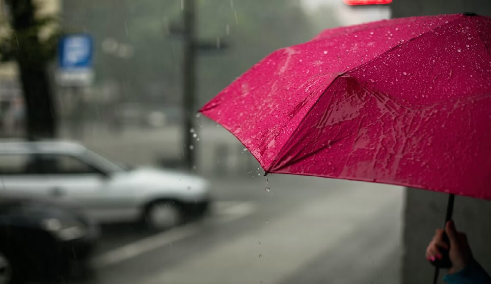 비오는날_우산_이미지