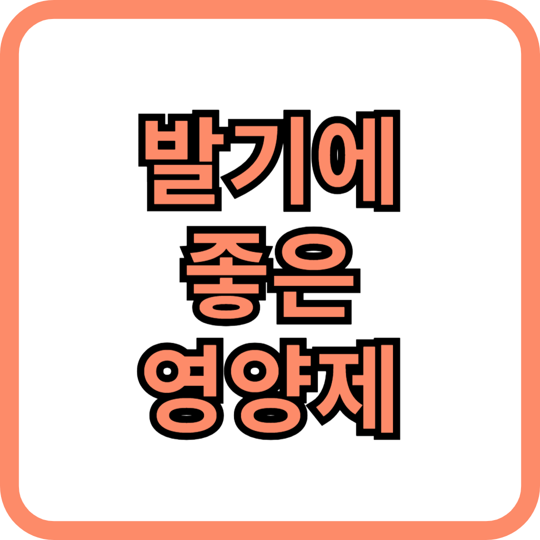 발기에 좋은 영양제 – 자연스럽게 활력을 되찾는 건강 습관