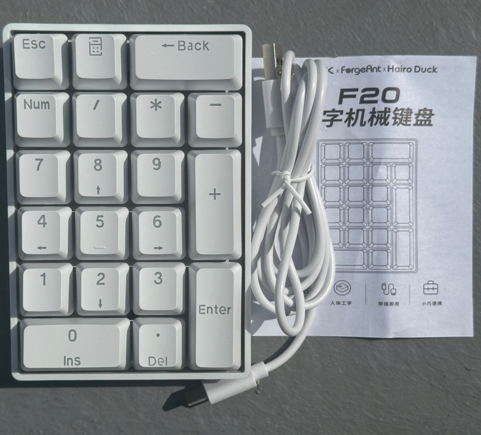 Forgant F20 넘패드 2