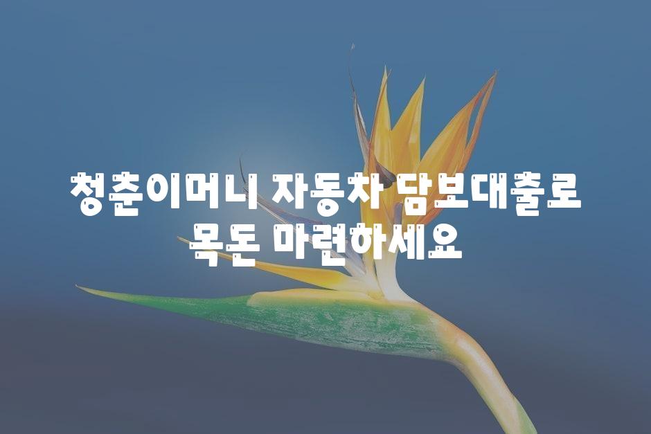 청춘이머니 자동차 담보대출로 목돈 마련하세요