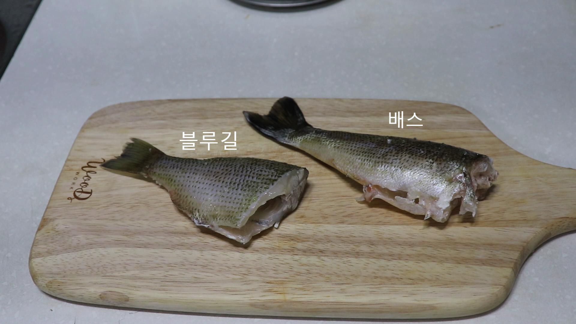  고양이 자연식 # 17 - 배스, 블루길 스테이크