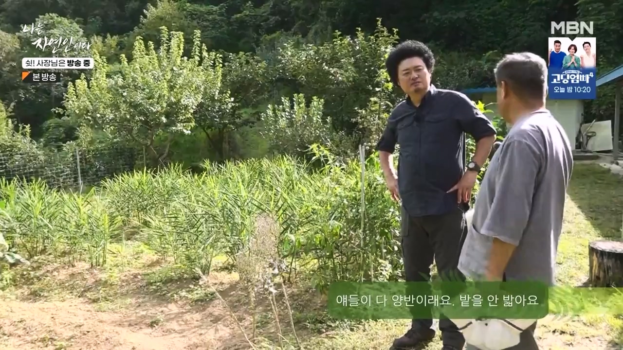 나는 자연인이다.E573.230928p-NEXT.mp4_20230929_174818.000.jpg