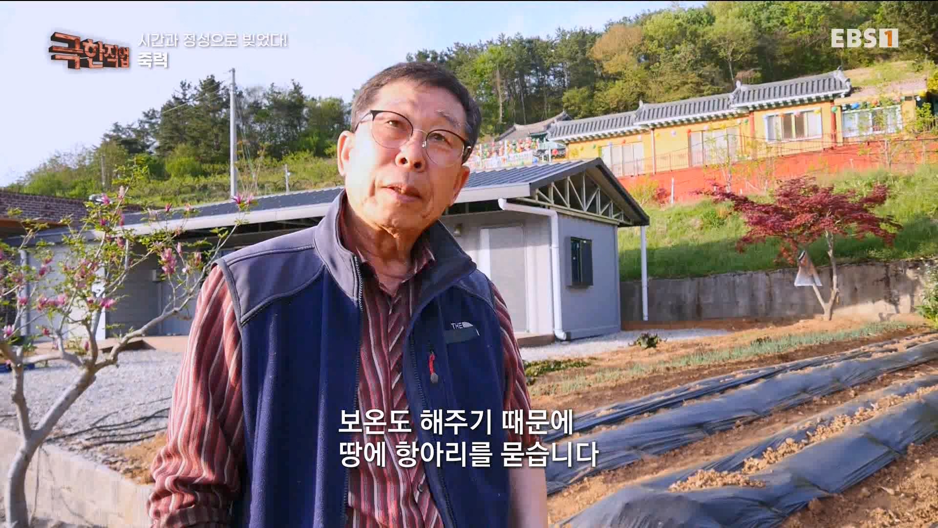 극한 직업 유황오리 엿, 죽력, 도라지정과 1080p.mp4_20230523_203544.407.jpg