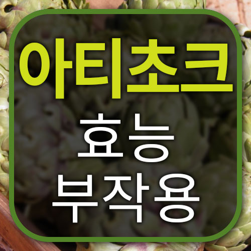 아티초크 효능 및 절대로 먹으면 안되는 사람 아티초크 효능 및 절대로 먹으면 안되는 사람
