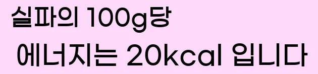  실파의 100g당 에너지는 20kcal 입니다