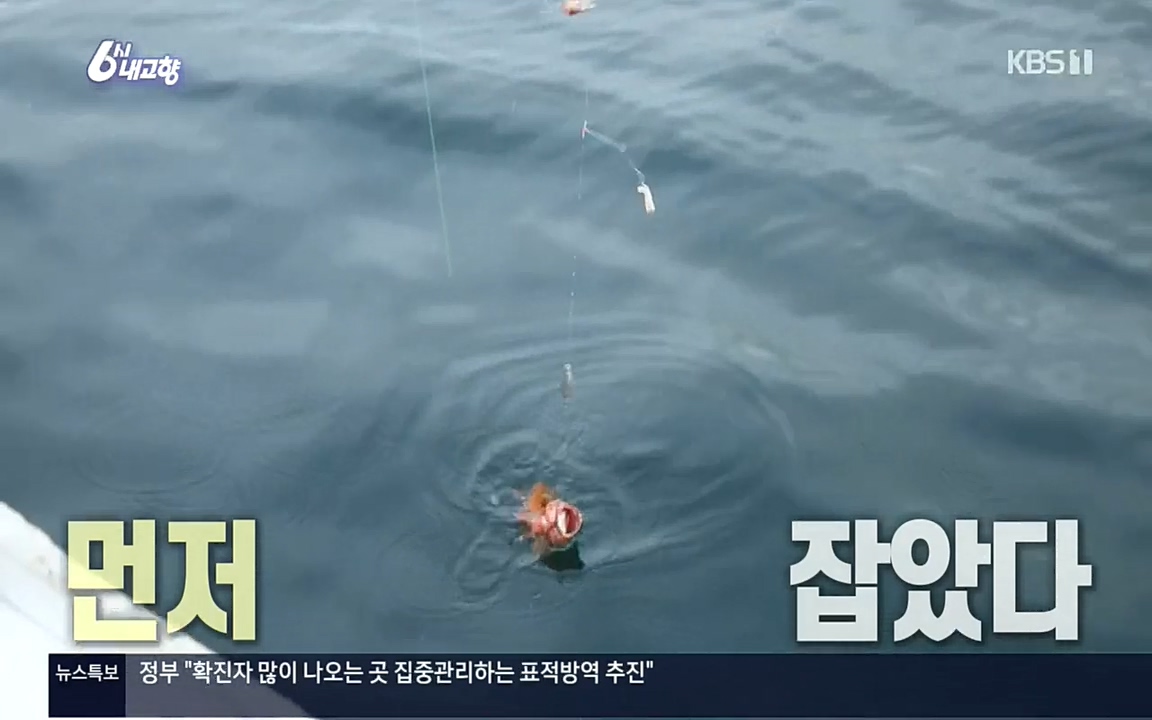6시 내고향.E7596.220813p.H264-F1RST.mp4_20220814_175751.239.jpg