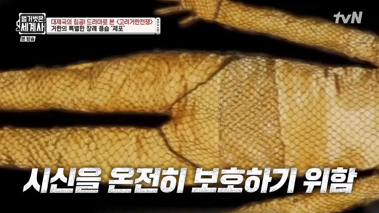 벌거벗은 세계사.E135.240124p-NEXT.mp4_20240717_211450.427.jpg