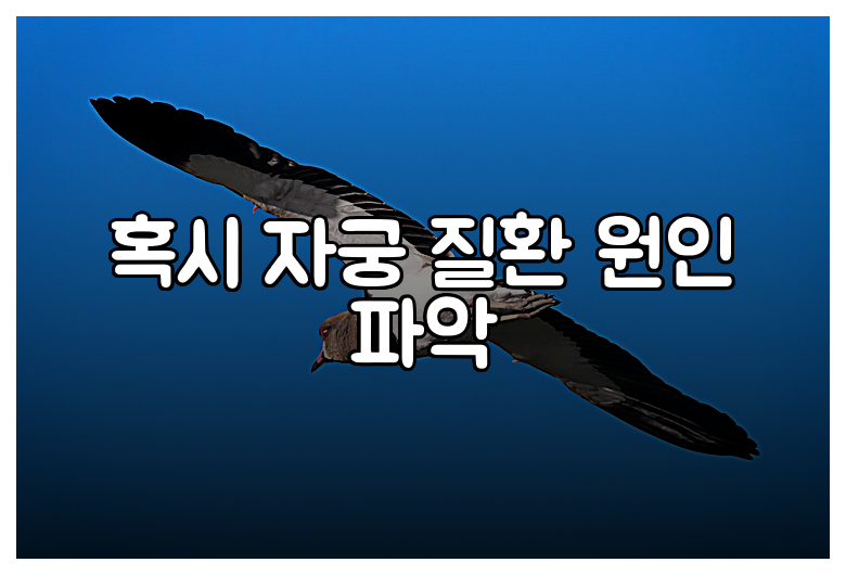 혹시 자궁 질환 원인 파악