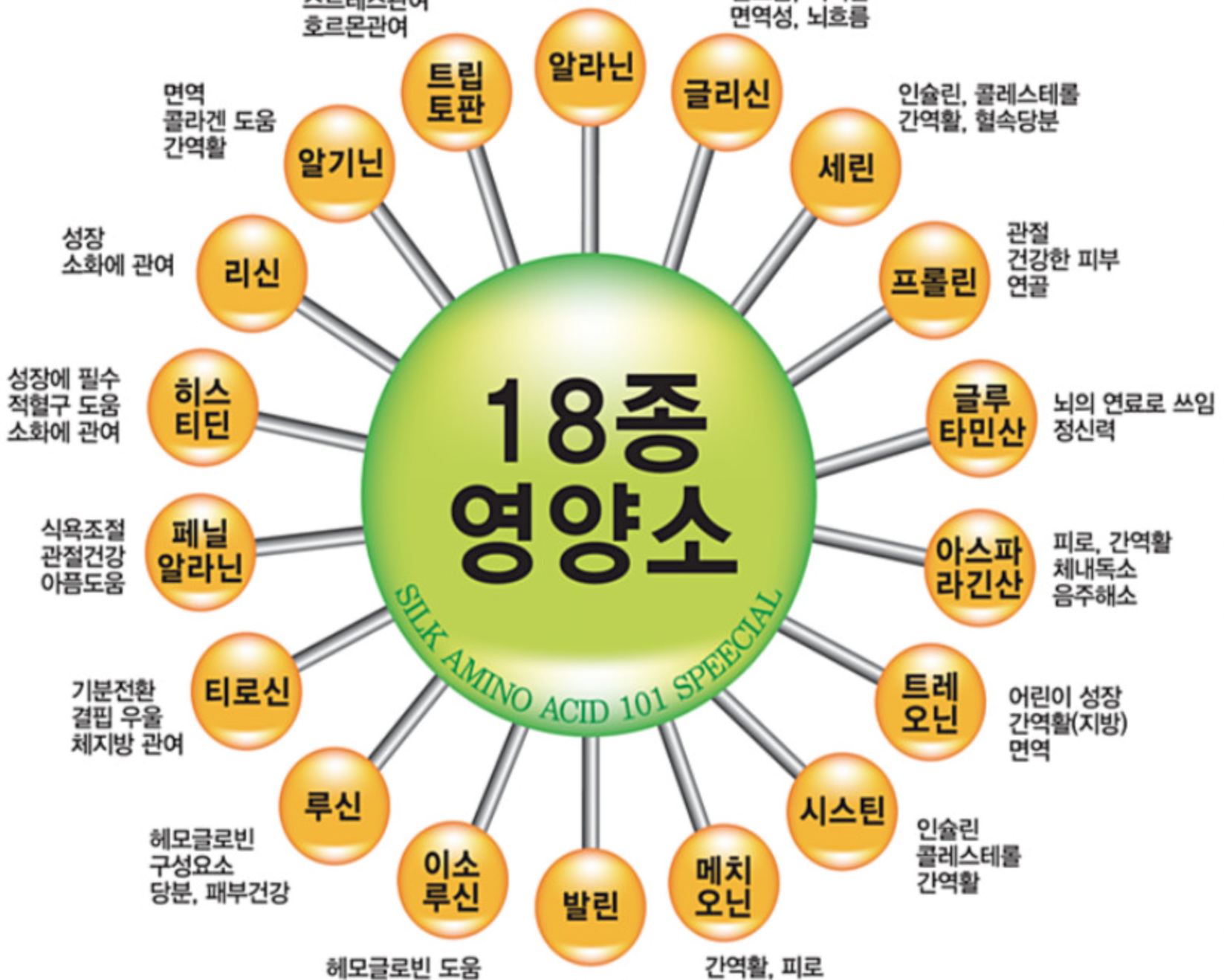 실크알부민2000 성분 