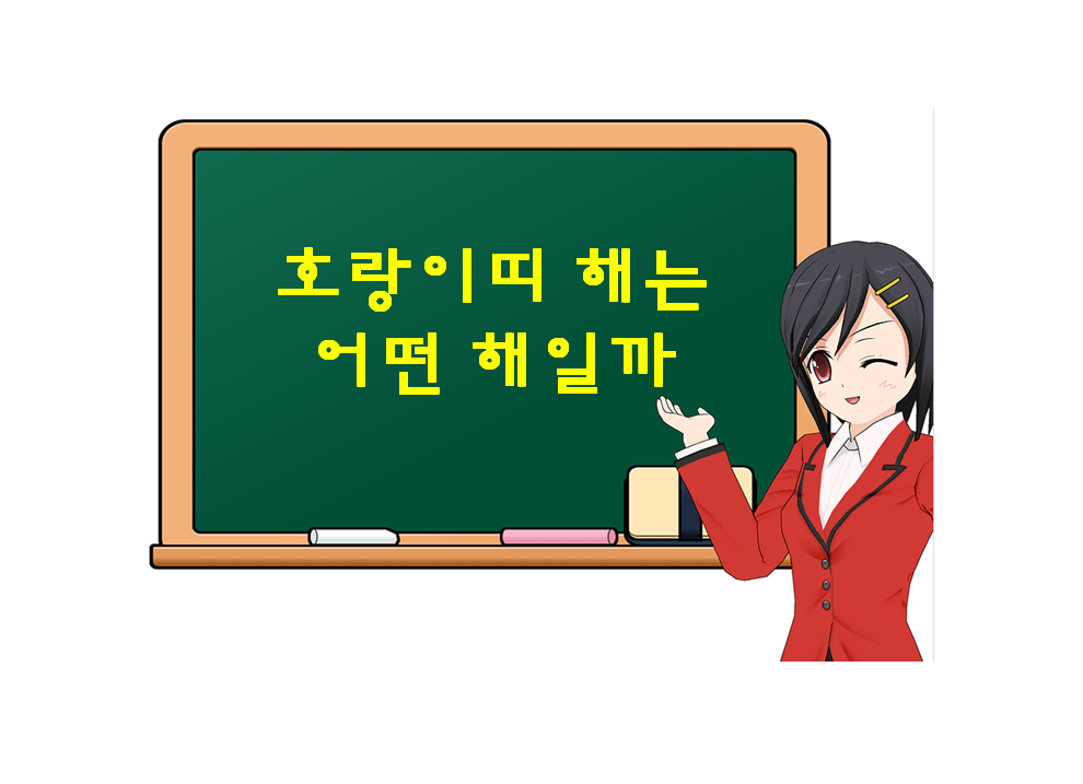  호랑이띠, 범띠 해는 어떤 해일까? 성공? 실패? 혹은 기회?
