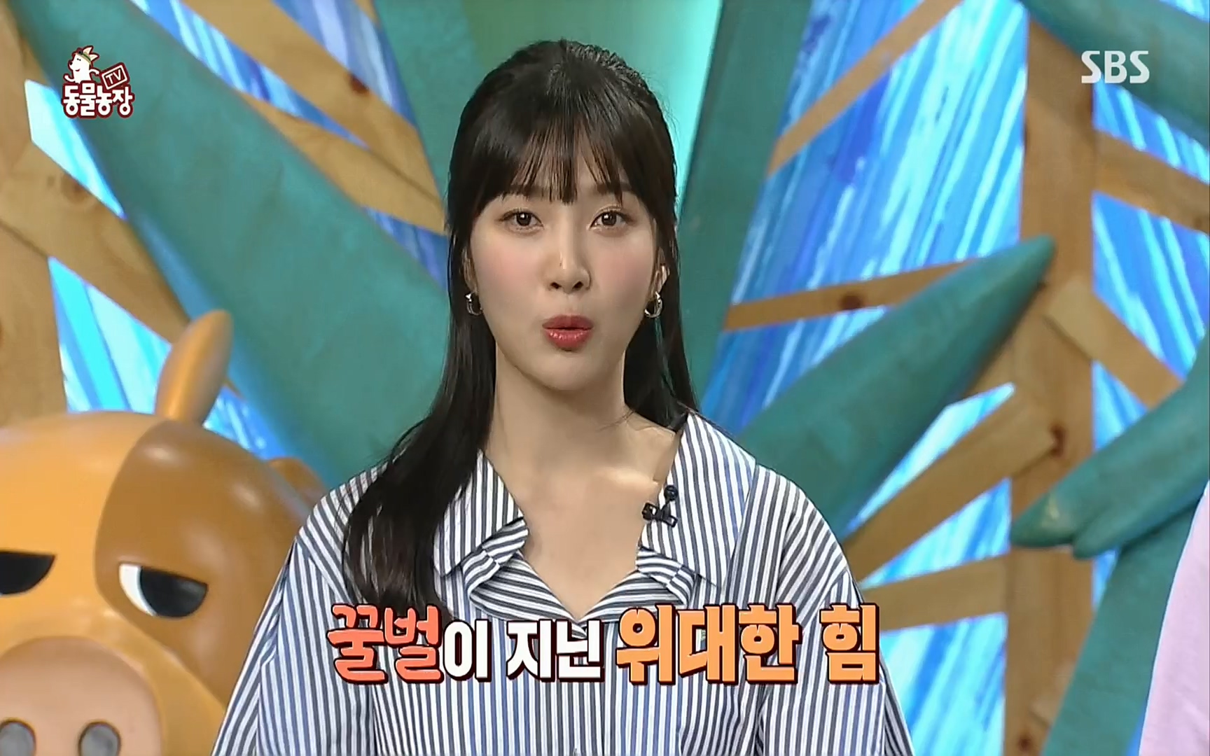 TV 동물농장.E1072.220605p.H264-F1RST.mp4_20220605_181452.231.jpg