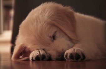  꿈은 꾸는데 왜 다음날 생각이 안날까요??