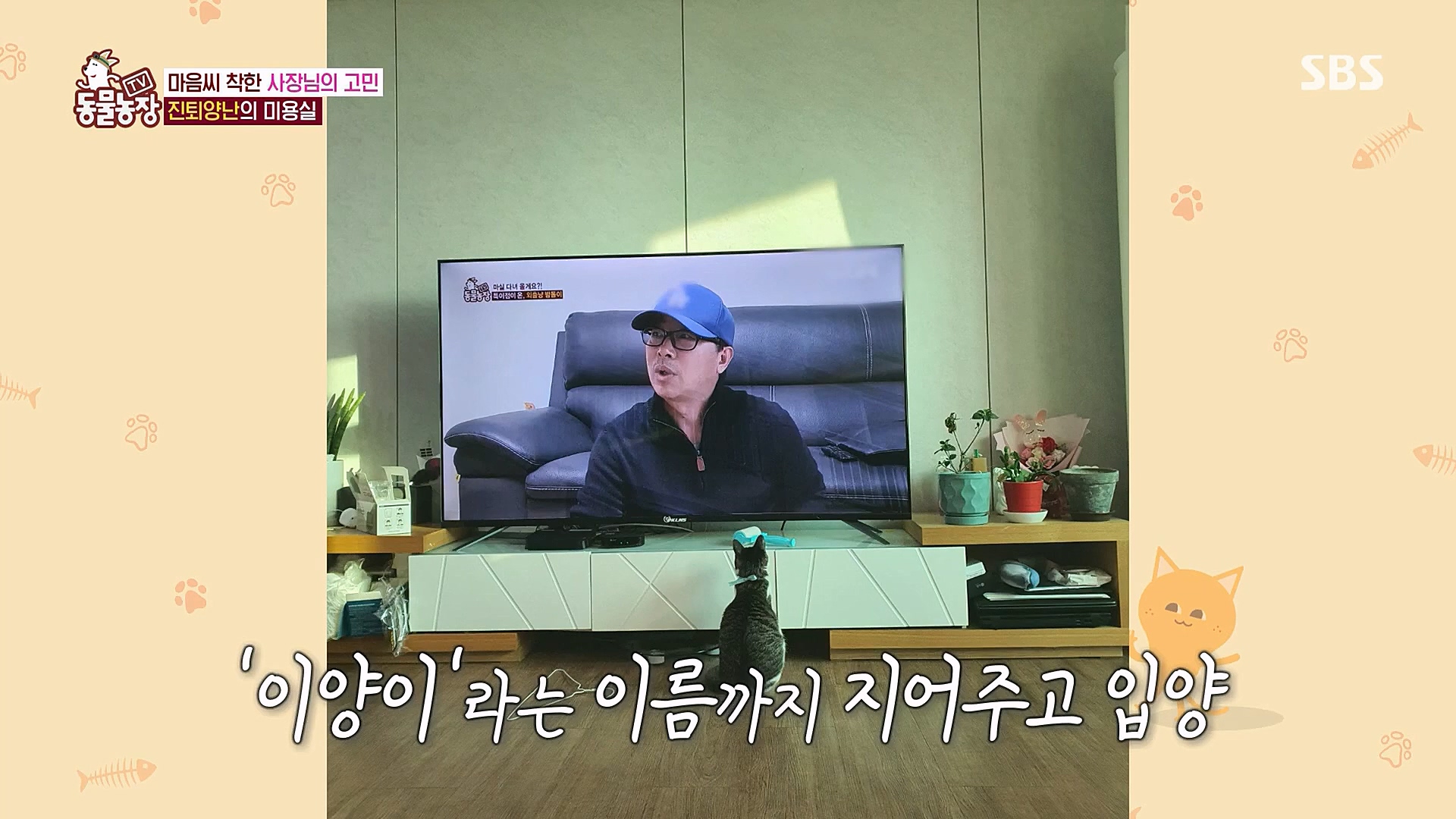 TV 동물농장.E1104.230115p.H264-F1RST.mp4_20230115_173207.386.jpg