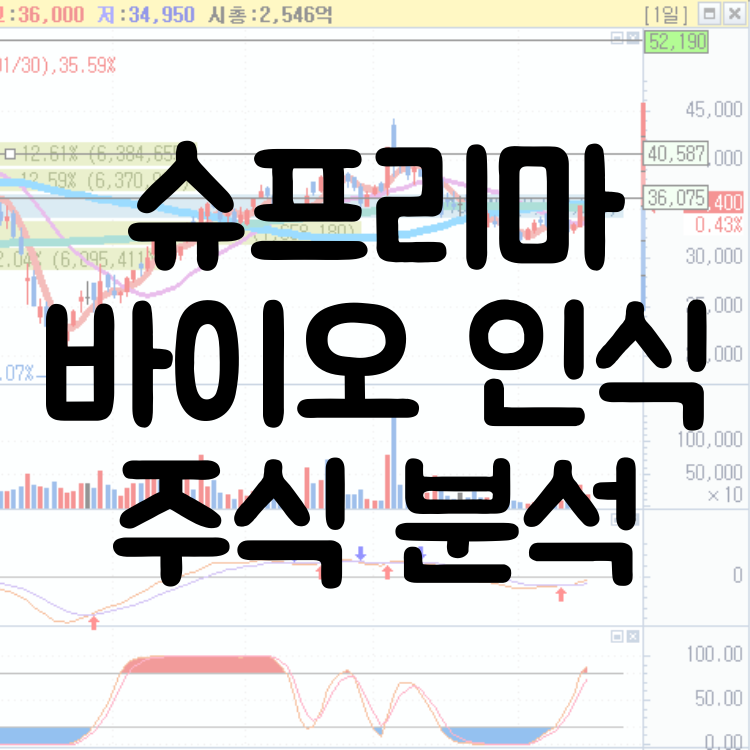  슈프리마주가 분석 - 주식종목추천