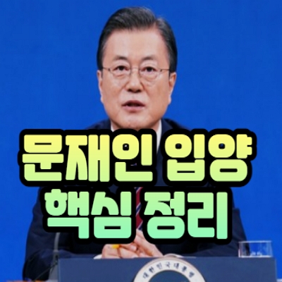  문재인 입양아 교환 발언 핵심정리